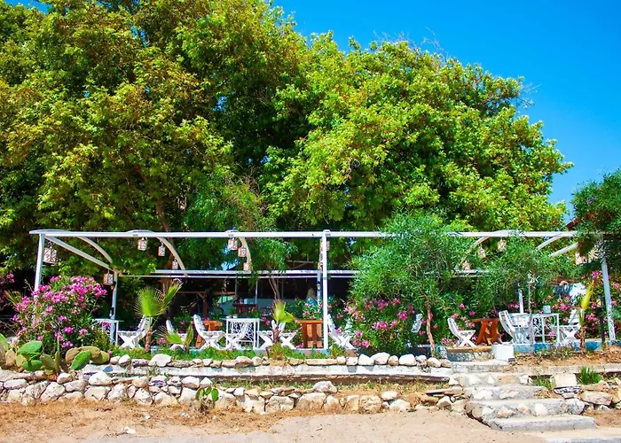 호텔 Naz In Antalya *