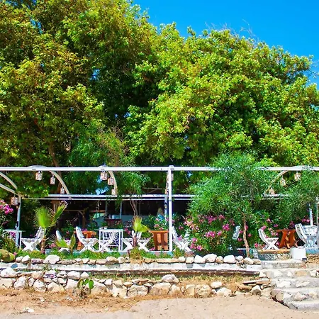 Hotell Naz In Antalya *