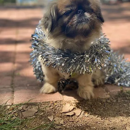 Отель Naz In Antalya