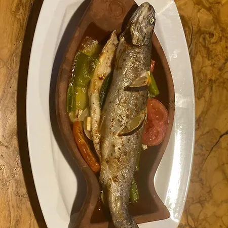 Naz In Antalya Hotell