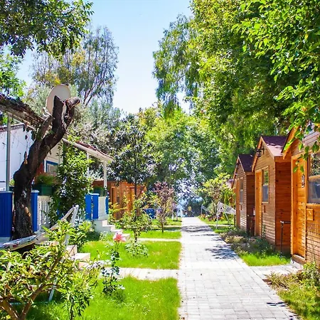 Naz In Antalya 호텔 *